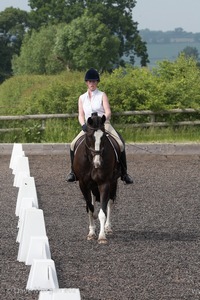 ISIS Dressage Challenge 2008